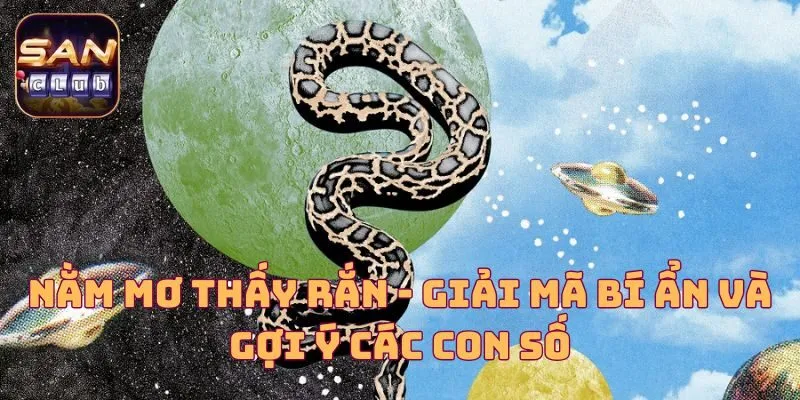 Nằm Mơ Thấy Rắn - Giải Mã Bí Ẩn Và Gợi Ý Các Con Số