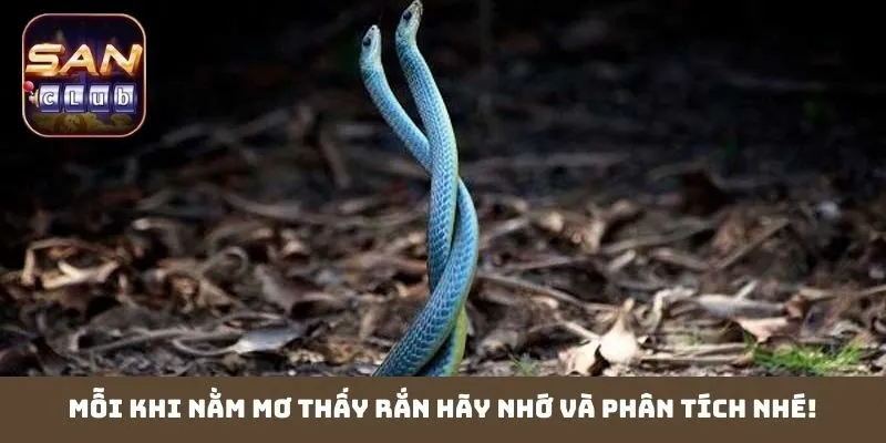 Mỗi khi nằm mơ thấy rắn hãy nhớ và phân tích nhé!